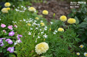 ［6］レンズの試し取り2！！