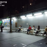 ［6］写真処理ソフト