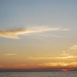 ［6］羽ばたく鳳凰