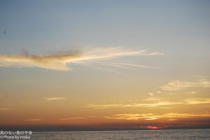 ［6］羽ばたく鳳凰