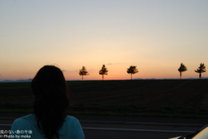 ［6］夕日沈む丘