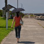 ［6］真夏の光線を浴びながら