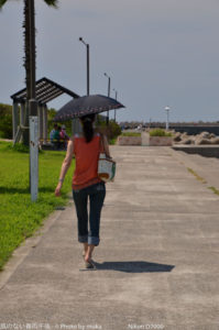 ［6］真夏の光線を浴びながら