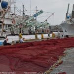 ［6］漁師の日曜日