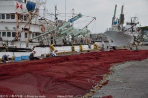 ［6］漁師の日曜日