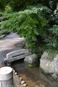 ［6］木陰の風景