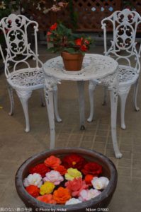 ［6］午後の紅茶！？