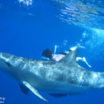 ［6］ドロフィンスイム！！