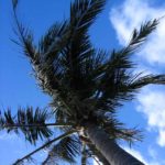 ［6］２０１１年、夏！！