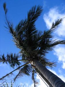 ［6］２０１１年、夏！！