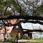 ［6］NHKドラマ、「おひさま」の舞台