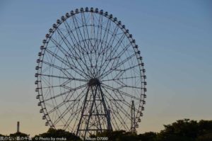 ［6］夢の国と大観覧車