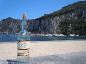 ［6］期待を胸に！