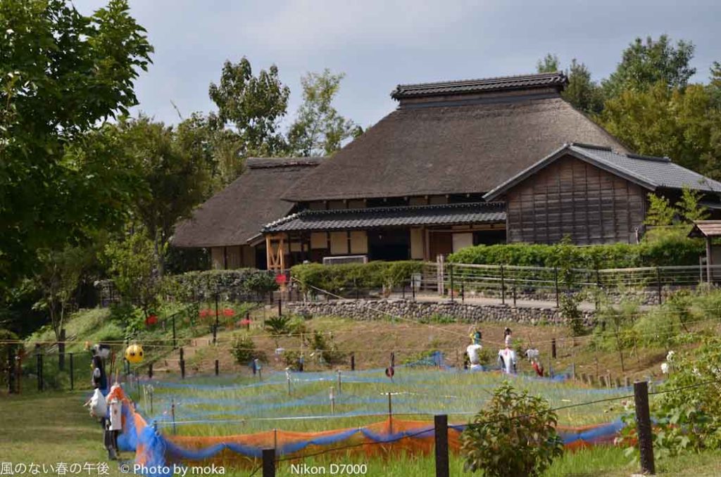 ［6］都内の田園風景
