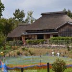 ［6］都内の田園風景