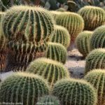 ［6］西部劇に出てきそう！？