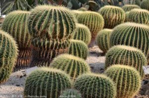 ［6］西部劇に出てきそう！？