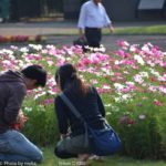 ［6］日曜日の過ごし方