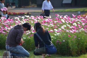 ［6］日曜日の過ごし方