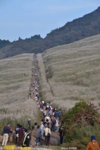 ［6］箱根の風物詩