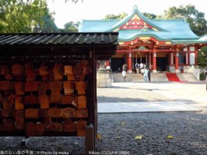 ［6］境内の雰囲気