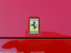 ［6］やっぱり、場所がら！？