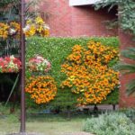 ［6］夢の島熱帯植物園