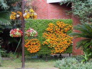 ［6］夢の島熱帯植物園