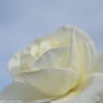 ［6］マクロ編　パート２