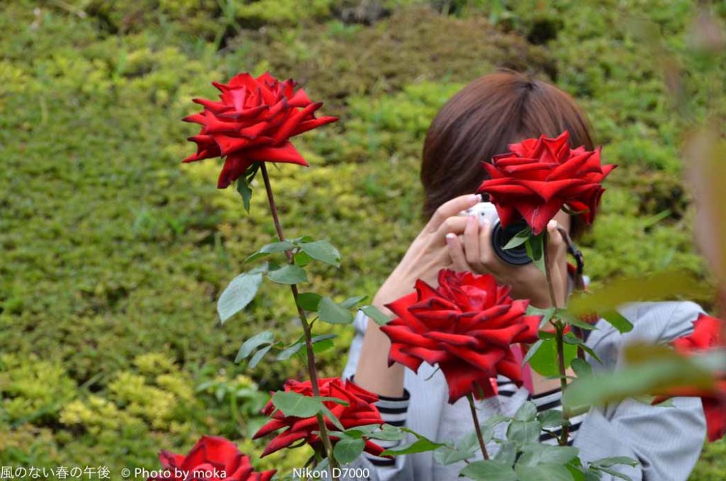 ［6］カメラ女子