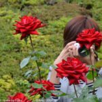 ［6］カメラ女子