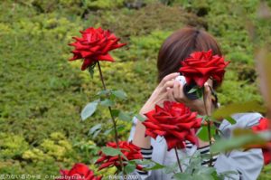 ［6］カメラ女子