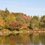 ［6］都内も紅葉本番