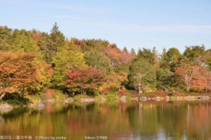 ［6］都内も紅葉本番