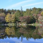 ［6］紅葉と日本庭園