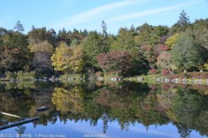 ［6］紅葉と日本庭園