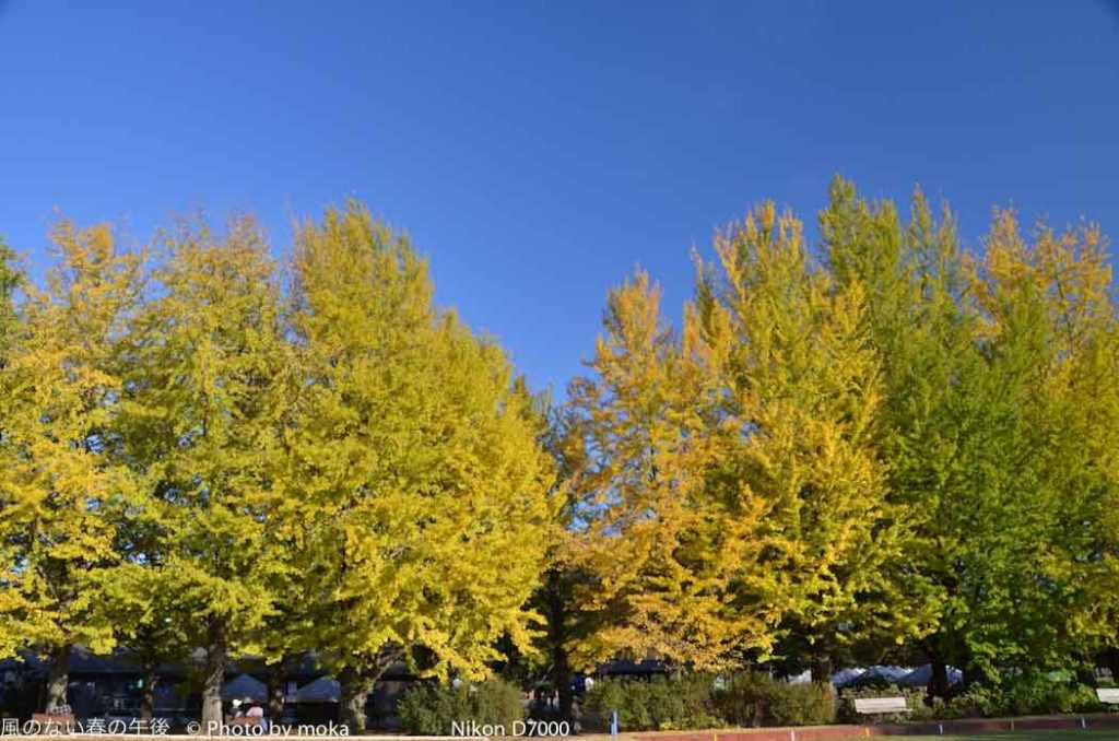 ［6］黄色に包まれて！！