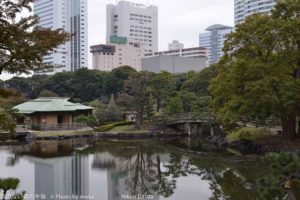 ［6］浜離宮恩賜庭園