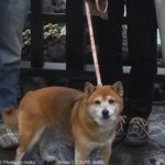 ［6］ブログ初登場！？