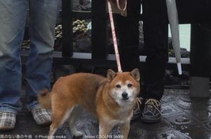 ［6］ブログ初登場！？