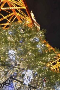 ［6］クリスマスイルミネーション