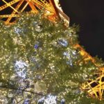 20111122_tokyotower24