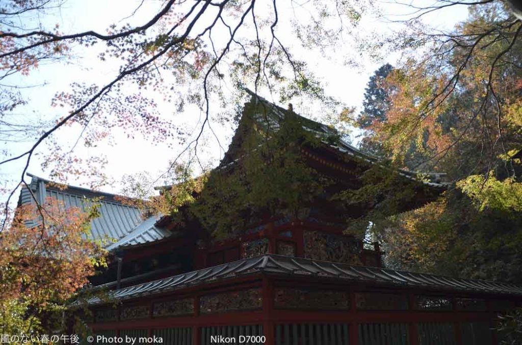 ［6］高尾山の紅葉