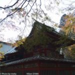 ［6］高尾山の紅葉