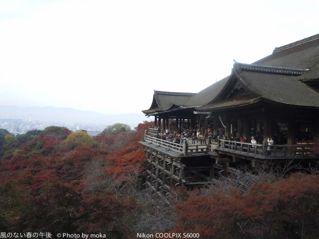 [6]京都の紅葉