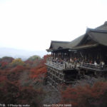 [6]京都の紅葉