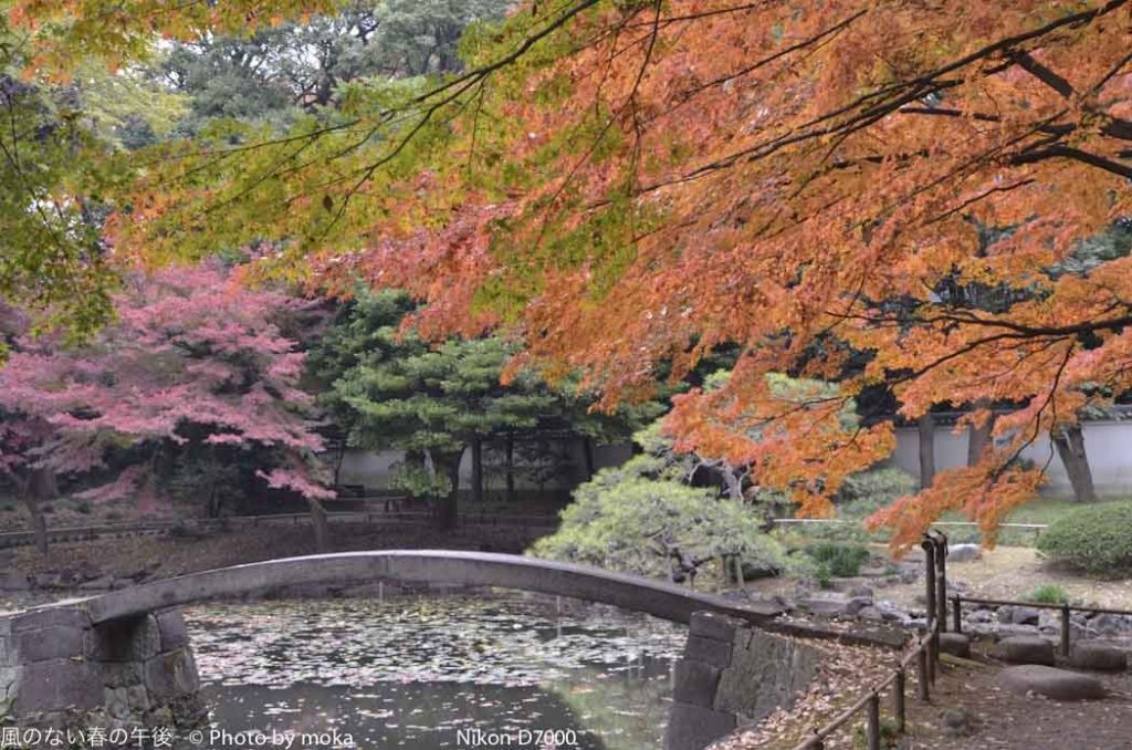 ［6］今年一番！？