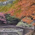 ［6］今年一番！？