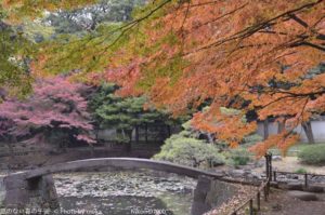 ［6］今年一番！？