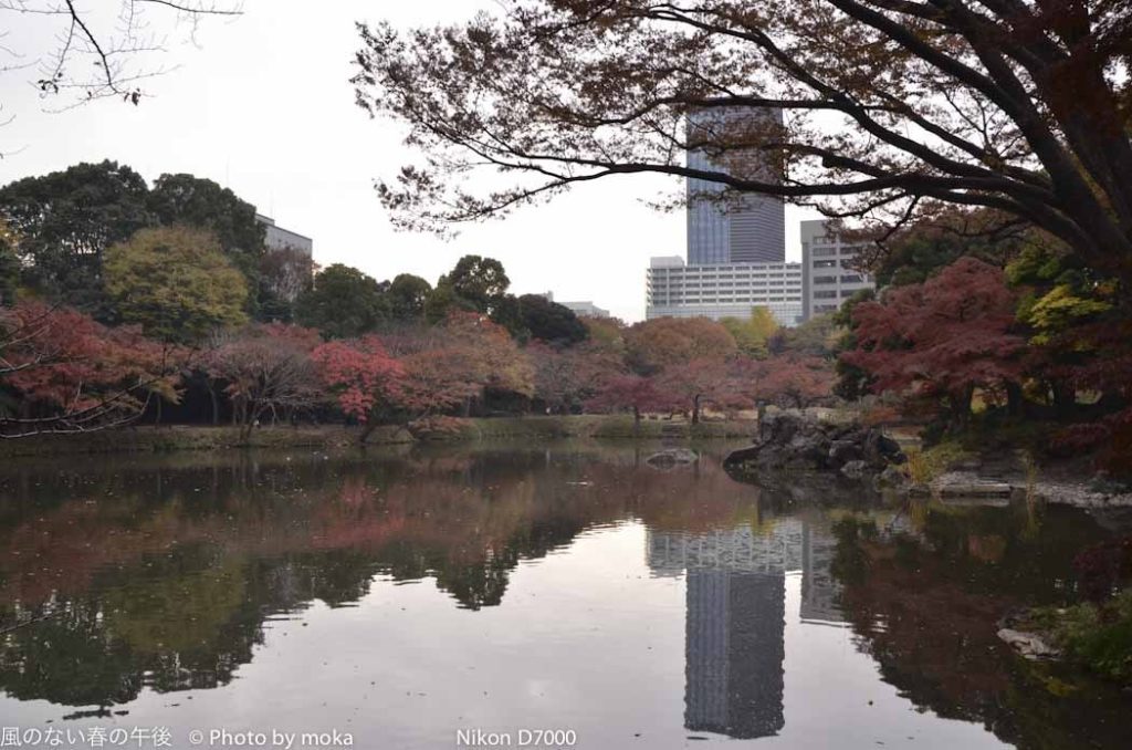 ［6］最後の紅葉！？